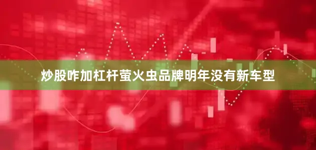 炒股咋加杠杆萤火虫品牌明年没有新车型