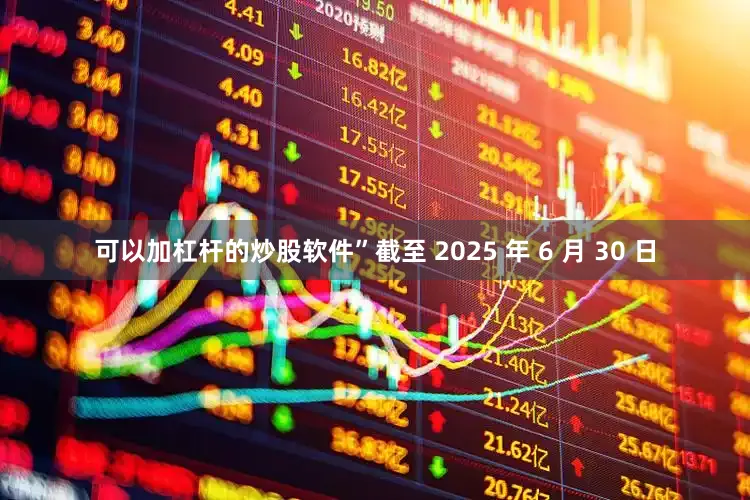 可以加杠杆的炒股软件”　　截至 2025 年 6 月 30 日